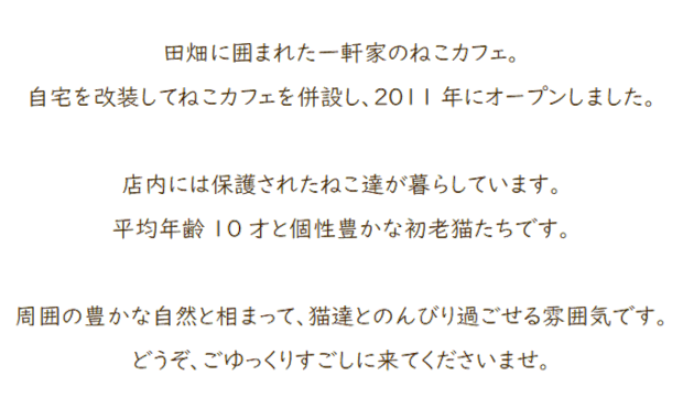 福井県勝山市にある猫カフェ cat village(キャットヴィレッヂ)ごあいさつ