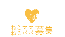 福井県勝山市にある猫カフェ cat village(キャットヴィレッヂ)の里親募集