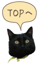 トップへ戻る