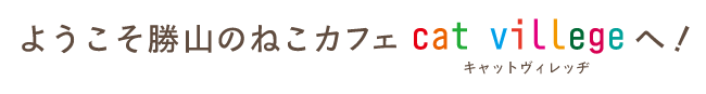 福井県勝山市にある猫カフェ cat village(キャットヴィレッヂ)へようこそ